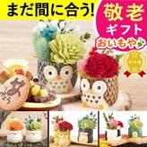 【まだ間に合う】 敬老の日 即日発送 誕生日 プレゼント 花 ギフト プリザーブドフラワー アニマル 動物 ペア ミニ 小さい かわいい おしゃれ ふくろう 犬 猫 バラ 薔薇 一輪 セット どら焼き どらやき 送料無料 スイーツ お菓子 和菓子 ギフトセット 母 実母 自分の母 義母 妻 40代 50代 60代 70代 花セット 花とお菓子 おいもや 誕生日期間 翌日配送 不可