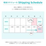 アンクレット レディース つけっぱなし つけっぱなし日本製 ターコイズ ゴールド 金属アレルギー 対応 ハンドメイド 誕生日 プレゼント 彼氏 彼女 結婚記念日 la siesta クリスマス 【67806】