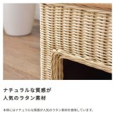 ラタン ペットハウススツール ペットと一緒にくつろぐ クッション付き 椅子 テーブル ネコ イヌ 猫 室内用 屋内用 小型犬 ペット用品 グッズ キャットタワー 省スペース 犬用 猫用 かわいい おしゃれ リゾート ホテル ケージ 最大2 天然木 イス