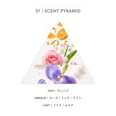 ベルバイ BELLE BAI ベルナンバー7 オードパルファン / グレースフル ロード フレグランス女性用 香水 レディーズ 50ml
