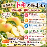 青森県産　りんご　ご家庭用　トキ　１０ｋｇ　　送料無料！