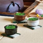 抹茶碗 苔栽培キット スナゴケ 植物 陶器 コケ グリーン スターターセット オブジェ 置物 おしゃれ インテリア 雑貨 ギフト プレゼント 男性 女性 父の日 母の日 敬老の日 誕生日 ラッピング対応 無料ラッピング