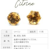 【新価格】ピアス メンズ 片耳 天然石 誕生石 シトリン 5mm アレルギー対応 ステンレス ゴールド シルバー シンプル かっこいい 大人 30代 40代 50代 普段使い 品質保証書つき