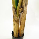 観葉植物 造花 バナナ BROWN 全高約180cm 大型 フェイクグリーン 高級 本物そっくり リアル おしゃれ インテリア 人工観葉植物 アーティフィシャルグリーン 南国 リゾート オフィス 店舗 ホテル 開店祝い 室内 リビング 玄関 風水 バナナの木