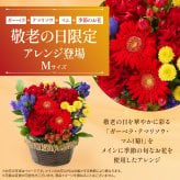 そのまま飾れる アレンジメント Mサイズ 敬老 お中元 敬老の日 退職 入学 送料無料 土日発送OK アレンジ 誕生日プレゼント バラ ギフト フラワー 花束 生花 お祝い フラワーギフト 花 花瓶いらず プレゼント 花 ギフト 50代 60代 70代