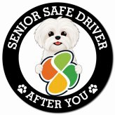 カーサイン 高齢者マーク SENIOR SAFE DRIVER マルシーズー マグネット 強力 直径13cm 肉球 日本製 車 ステッカー