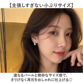 レディース イヤリング 大人 通販 耳飾り イアリング パール 小ぶり アクセサリー ノンホールピアス レディースジュエリー 女性 かわいい おしゃれ 可愛い 小さめ オシャレ 上品 きれいめ 結婚式 卒園式 入学式 20代 30代 40代 50代 贈り物
