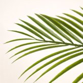 観葉植物 造花 カナリーヤシ BROWN 全高約116cm 中型 フェイクグリーン 本物そっくり おしゃれ インテリア 人工観葉植物 アーティフィシャルグリーン オフィス 店舗 ホテル 開店祝い 室内 フェニックス ヤシの木 フェイク