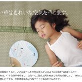 夏ラグ 夏用カーペット フリーカット い草 上敷き カーペット 『F不知火』 本間8畳(約382×382cm）(裏:ウレタン張り）