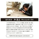 沖昌之×Wpc. 遮光 アンブレにゃん ミニ 折りたたみ傘 晴雨兼用 日傘 雨傘 定形外 送料無料 完全遮光 UVカット 遮熱 猫 ネコ ねこ 801-OM010-102 撥水 軽量 コラボ