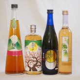 梅酒4本セット(手作り梅酒(宮崎県) 樽熟梅酒天空の月(大分) 百助梅酒(大分) 無添加上等梅酒(鹿児島)) 720ml×3本 500ml×1本