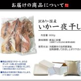 【送料無料・お手軽ギフト】訳あり 国産 スルメイカ一夜干し 800g (4〜7枚入) 小さめ サイズ不揃い 破れ スミや腑によるシミあり（烏賊 お年賀 敬老の日 お中元 お歳暮 プレゼント グルメ 贈り物 母の日 父の日 御祝 内祝い 景品 コンペ ご褒美 誕生日 お祝い 出産祝い 結婚 男 女 友達 新築 引越 送別会 定年 退職祝い 還暦 喜寿 海鮮 おつまみ コスパ）[[訳ありいか一夜干し]