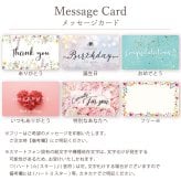 ダイヤモンド ネックレス 0.03ct カシオペア 星 K10 K18 10K 18K 10金 18金 プラチナ 女性 レディース 誕生日 記念日 プレゼント ギフト 誕生日プレゼント 10代 20代 30代 40代 妻 彼女 スター ゴールド ホワイトゴールド ピンクゴールド イエローゴールド ダイヤ 重ね付け アクセサリー アレルギー対応 金属アレルギー クリスマス