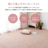 ラグ カーペット 敷き詰め アンバー 江戸間8帖 8畳 軽量 平織 シンプル 裏なし