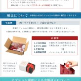 ハワイアンジュエリー ピアス ジルコニアドルフィン シルバー925 ロジウムコーティング aumakua メール便 20G ゲージ メンズ レディース 誕生日 プレゼント ハロウィン 【品番：001-12-01】