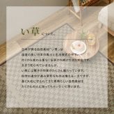 夏ラグ 夏用カーペット い草カーペット 若月 約261×261cm 江戸間 4.5畳 4.5帖 四畳半 敷き詰め 柄上敷き 花ござ い草ラグ 和モダン 市松模様