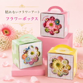 フラワーボックス ソープフラワー 枯れない花 フラワーギフト 花ギフト プレゼント 女性 誕生日 母の日 敬老の日 退職祝い 卒業祝い 入学祝い 結婚祝い 新築祝い お祝い ギフト 贈り物 インテリア アートフラワー 造花 お手入れ不要 水やり不要 長持ち おしゃれ かわいい ピンク イエロー グリーン カラフル サプライズ 記念日 お礼 感謝 プチギフト 母親 友人 彼女 妻 先生 雑貨 花束用