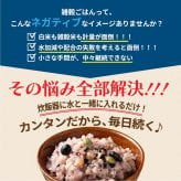 雑穀 雑穀米 国産 【洗わず炊ける】 おこめと雑穀米のごはん 種類とサイズが選べる 1袋お茶碗約30杯分 計量不要 炊くだけ 簡単 雑穀米本舗 送料無料 ポスト投函 ダイエット食品 置き換えダイエット