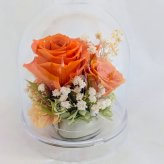 プリザーブドフラワー／オレンジの大輪の薔薇と小花のクリアドームギフト