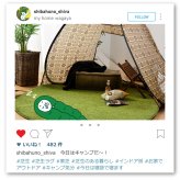 ラグ カーペット 芝生風 シーヴァ 約185×240cm ふっくら ウレタン入り 滑り止め付き