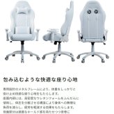オフィスチェア AKRacing エーケーレーシング 本田翼監修オリジナルカラー ゲーミング 低座面 4Dアジャスタブルアーム ヘッドレスト ランバーサポート オフィス AKレーシング ゲーム ゲームイス \5%OFF 配布中AKRacing 新生活