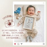 命名書 刺繍 オーダー おしゃれ かわいい 命名札 北欧 とり 名前旗 名前札 命名 初節句 七五三 お食い初め お宮参り お七夜 ひな祭り 出産祝い 百日祝い 初誕生 赤ちゃん お祝い 誕生日 ナチュラル 北欧 とり バースボード 名入れ 男の子 女の子 おなまえ