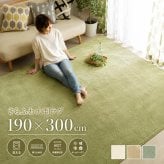ラグ 190×300cm 4畳 大判 厚手 20mm 低反発 ラグマット 洗える 手洗い 撥水 カーペット 絨毯 滑り止め 床暖房 ホットカーペット対応 オールシーズン マイクロファイバー 低ホルムアルデヒド 子供 ペット おしゃれ 無地
