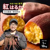 静岡県産 さつまいも 紅はるか 【内容量が選べる1kg~10kg】雑穀米本舗  送料無料 スイーツ 生芋 生 サツマイモ べにはるか 甘い 美味しい 産地直送 ギフト プレゼント