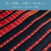 夏ラグ 夏用カーペット い草カーペット 『剣ヶ峰』 新生活