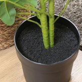 ガーデン エクステリア 観葉植物 ヤドリフカノキ ２１６ フェイクグリーン 植物 緑 グリーン 癒し 植木 インテリア ガーデニング おしゃれ カフェ リビング プランター ギフト プレゼント 贈り物 オフィス 会社 枯れない 簡単 手入れ 樹木 新生活