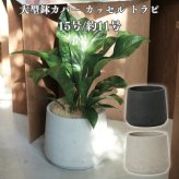 鉢カバー おしゃれ 大型 15号 11号 円柱 台形 テーパー セメント コンクリート調 KONTON カッセル トラピ ファイバーセメント 軽量 底穴なし 屋外 L XL ウォッシュグレー ダークグレー 観葉植物 シンボルツリー 北欧 モダン ナチュラル インテリア