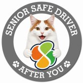 カーサイン 高齢者マーク SENIOR SAFE DRIVER ターキッシュバン マグネット 強力 直径13cm 肉球 日本製 車 ステッカー