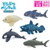  定形外送料無料 どうぶつペンケース 海の生き物 筆箱 動物 シャーク ジンベエザメ シャチ シーラカンス アザラシ ぬいぐるみ