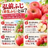 青森県産　りんご　弘前ふじ　早生ふじ　訳あり　5kg 送料無料！