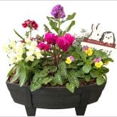 季節の寄せ植え 秋 タル型鉢 黒 ギフトにも最適な季節のお花を寄せ植えに【プレゼント ガーデンピック 玄関 ベランダ 送料無料 沖縄・離島を除く】