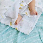 おくるみ スワドル 3枚セット 出産祝い aden+anais エイデンアンドアネイ イヤーオブザスネイク コットンモスリン ダブルガーゼ 大判 約120cm 新生児 退院 内祝い 出産内祝い 男の子 女の子 ギフト 専用ボックス入り ガーゼケット ブランケット 授乳ケープ おむつ替えシート
