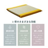 クッション い草 おしゃれ 和室 洋室 ウレタン 調湿効果 抗菌防臭 四角 40×40cm