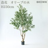 観葉植物 造花 オリーブ BROWN 全高約230cm 大型 古木風 フェイクグリーン 高級 本物そっくり リアル おしゃれ インテリア 人工観葉植物 アーティフィシャルグリーン シンボルツリー オフィス 店舗 ホテル カフェ 開店祝い 室内 リビング 玄関 風水 オリーブの木