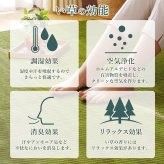 夏ラグ 夏用カーペット ラグ い草 国産 純国産 日本製 シンプル 無地風 抗菌防臭 自然素材 ウレタン 約140×200cm