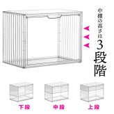 マルチクリアボックス 2個セット 4ステージタイプ / シェルフタイプ ONLS0131 リビング雑貨 W 365 × D 220 × H 275 mm ディスプレイボックス コレクションケース フィギュアケース 新生活