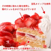 クリスマス乳製品アレルギー対応4号12センチ（2人分）☆ご予約受付中 2026年