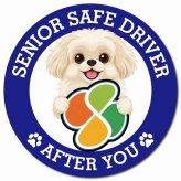 カーサイン 高齢者マーク SENIOR SAFE DRIVER ペキプー マグネット 強力 直径13cm 肉球 日本製 車 ステッカー