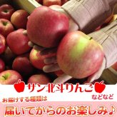 青森りんご 9kg 訳あり 送料無料 福袋 北海道産 青森産 リンゴ ※沖縄は送料別途加算 到着日指定不可