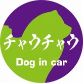 Dog in car ドッグインカー ステッカー カーステッカー チャウチャウ 毛筆書体 パープルグリーン シール 煽り運転対策 カーサイン