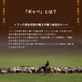 こたつ布団カバー カバー 正方形 単品 洗える ギャッベ柄 撥水 約195×195cm ポリエステル フランネル こたつ掛布団 こたつふとん コタツ掛け布団 コタツ掛布団 こたつ用品 冬用 冬物 寝具 寝室用品 インテリア あったか ベージュ ブラウン