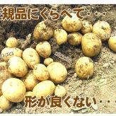 じゃがいも 訳あり北海道 じゃがいも 男爵いも S-Mサイズ 9.5-10kg前後 送料無料 ※沖縄は送料別途加算