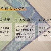 夏ラグ 夏用カーペット い草ラグ おしゃれ シンプル カーペット 『ルース』 約180×240cmマット 井草 ゴザ マット 涼しい 抗菌 おしゃれな 置く 敷く かわいい 防虫