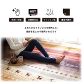 ラグ カーペット 長方形 洗える ギャベ 防音 オレンジ 約200×300cm ホット 対応