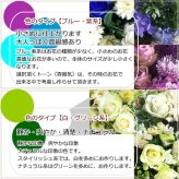 即日発送 色と雰囲気を選んで★おまかせ花束（ブーケ）Ｓサイズ ～ラウンドタイプ～♪ 送料無料 生花花束 フラワー 生花 誕生日 お祝い 御礼 自宅用 発表会 母の日 お中元 お歳暮