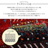 ラグ カーペット 玄関マット トルコ製 ウィルトン織り 約60×90cm 抗菌防臭 消臭機能 へたりにくい